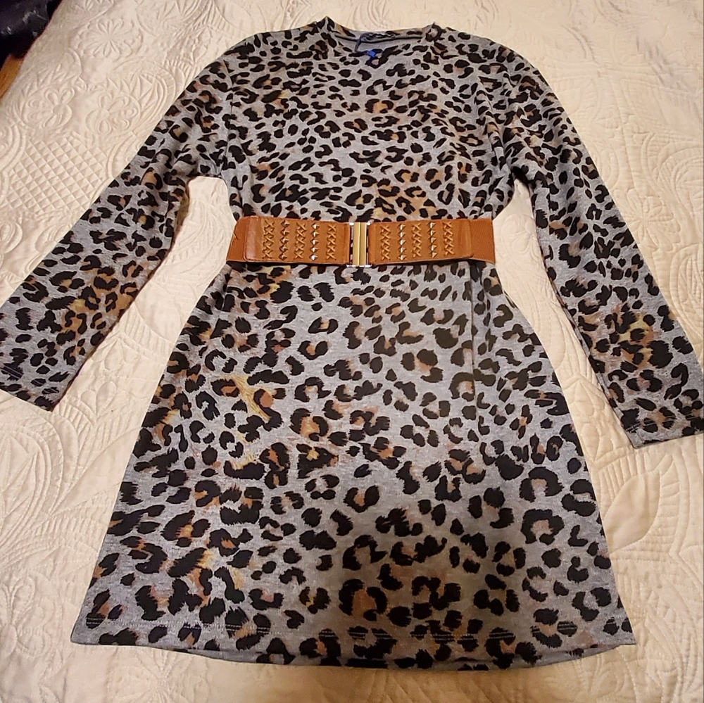 Zara Leopard Print Dress